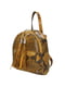 Рюкзак коричневый в принт | 5704353 | фото 2