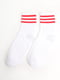 Шкарпетки білі в смужку | 5798590