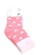 Шкарпетки рожеві в принт | 5791890