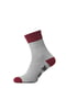 Шкарпетки комбінованого кольору в принт | 5840579 | фото 5
