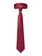 Краватка цегляного кольору | 5840719