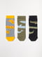 Набір шкарпеток (3 пари) | 5905515 | фото 2