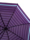 Зонт фиолетовый в полоску | 5937380 | фото 2