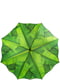 Зонт-трость полуавтомат зеленый с принтом | 5745808