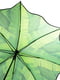 Парасоля-тростина півавтомат зелена з принтом | 5745808 | фото 2