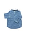 Рубашка голубая в полоску | 5955053