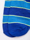 Шкарпетки короткі сині в смужку | 5988633 | фото 2