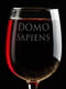 Бокал для вина Domosapiens | 6013856 | фото 2