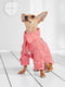 Платье для собак | 5979758 | фото 3