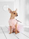 Платье для собак | 5979760 | фото 3