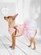 Платье для собак | 5979760 | фото 4