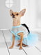 Платье для собак | 5979763 | фото 11