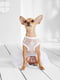 Платье для собак | 5979765 | фото 3