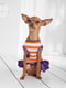 Платье для собак | 5979776 | фото 3