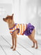 Платье для собак | 5979776 | фото 4