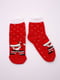 Шкарпетки | 6061774 | фото 2