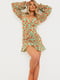 Сукня А-силуету зелена в квітковий принт | 6096588 | фото 3
