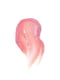 Бальзам для губ оттеночный Color Balm Rose (4 г) | 6104179 | фото 2