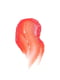 Бальзам для губ відтінковий Color Balm Watermelon (4 г) | 6104181 | фото 2