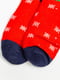 Шкарпетки червоні в принт | 6125462 | фото 2