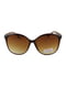 Сонцезахисні окуляри коричневі | 6271315 | фото 2
