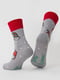 Шкарпетки сіро-червоні з малюнком | 6275605 | фото 3