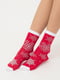 Носки красные с рисунком | 6275609 | фото 2