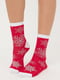 Носки красные с рисунком | 6275609 | фото 3