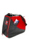Комплект лыжных сумок | 6277343 | фото 5