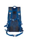Рюкзак спортивний синій з дощовиком 17L | 6277983 | фото 8