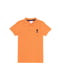 Футболка-поло оранжевая с вышивкой | 6302085