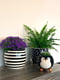 Горщик-кашпо для квітів пінгвін чорний з принтом | 6306046 | фото 3