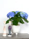 Горщик-кашпо для квітів білий | 6306052 | фото 2