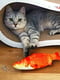Игрушка для котов “Рыбка карп” оранжевая (20 см) | 6333201 | фото 3