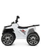 Электромобиль детский Квадроцикл до 30 кг | 6357133 | фото 2