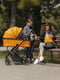 Коляска дитяча універсальна 2в1 CARRELLO Alfa CRL-6507 Sunrise Orange | 6358352 | фото 6