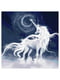 Картина за номерами "Білий єдиноріг" (50х50 см) | 6360576