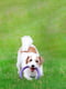 Игрушка для собак Тренировочный снаряд Puller Mini 18 см | 6388104 | фото 10
