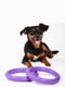 Іграшка для собак Тренувальний снаряд Puller Mini 18 см | 6388104 | фото 2