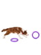 Іграшка для собак Тренувальний снаряд Пуллер Міді 20 см | 6388105 | фото 2