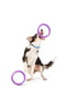 Игрушка для собак Тренировочный снаряд Пуллер Миди 20 см | 6388105 | фото 4