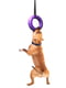 Игрушка для собак Тренировочный снаряд Puller Maxi 30 см | 6388106 | фото 2