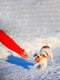 Игрушка для собак Liker Cord 5 Мячик со шнуром для щенков и собак мелких пород | 6388117 | фото 4