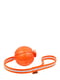 Игрушка для собак Liker Line 5 Мячик на ленте для щенков и собак мелких пород | 6388118 | фото 2