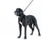 Повідець Evolutor для собак середніх та великих порід 120 см 25 мм Чорний | 6388386 | фото 4