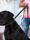Повідець Evolutor для собак середніх та великих порід 210 см 25 мм Чорний | 6388388 | фото 7