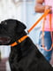 Поводок Evolutor для собак средних и крупных пород 210 см 25 мм Оранжевый | 6388389 | фото 5