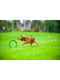 Игрушка для собак PitchDog 20 см Зеленый | 6388397 | фото 6