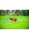 Іграшка для собак PitchDog 28 см Блакитний | 6388399 | фото 6