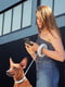 Поводок-рулетка круглая, для собак мелких и средних пород от 10 до 40 кг Белая | 6388746 | фото 3